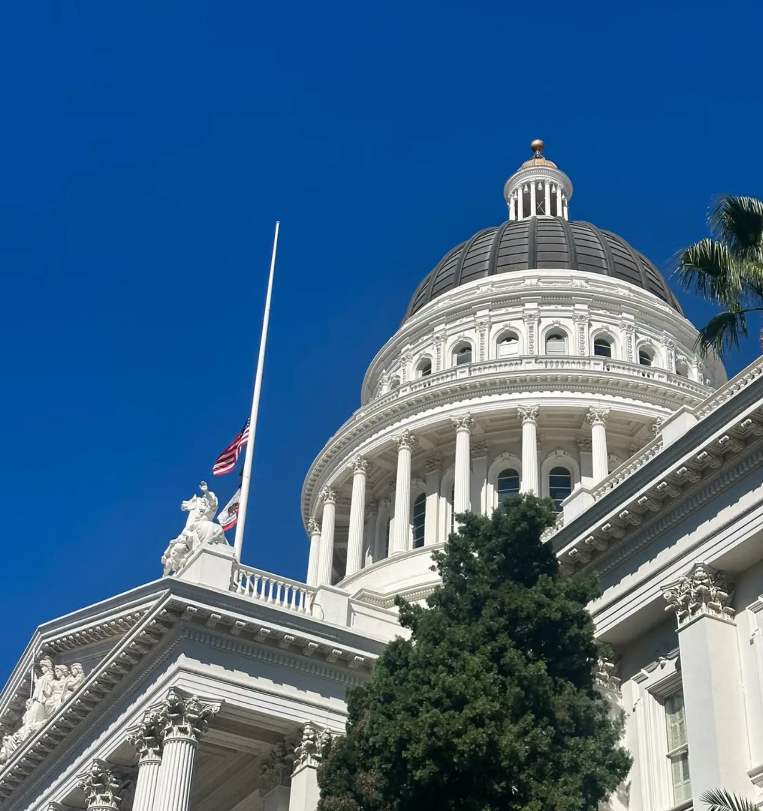 Government & Municipal Roofing in Northern California